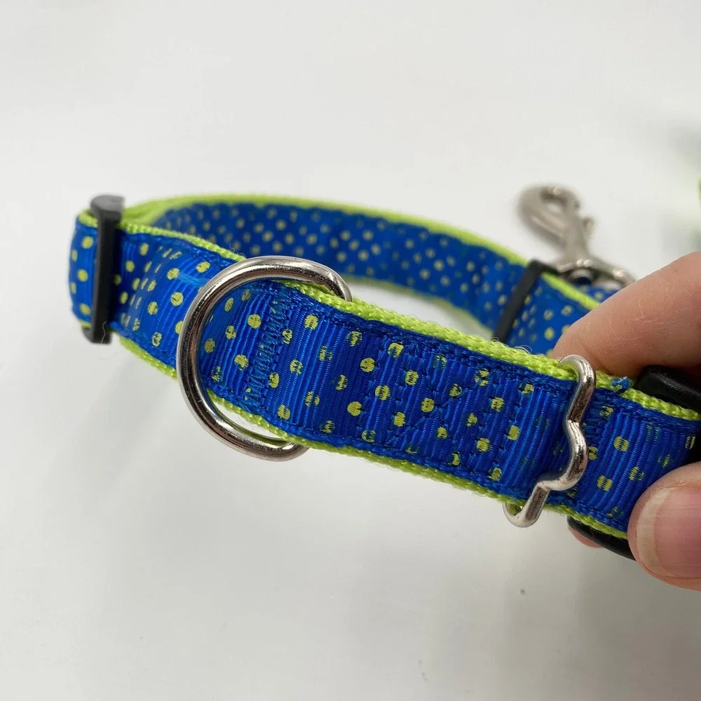 Frisco Dog Collar and Leash Set Blue Green‎ Polka Dot Adjustable Pet Walking